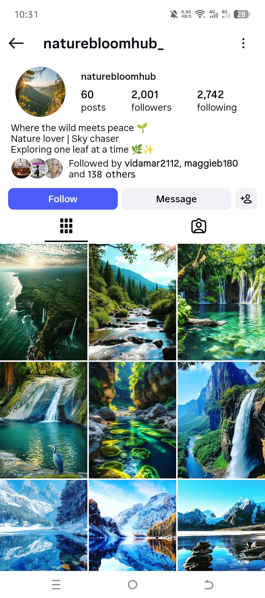 naturebloomhub_