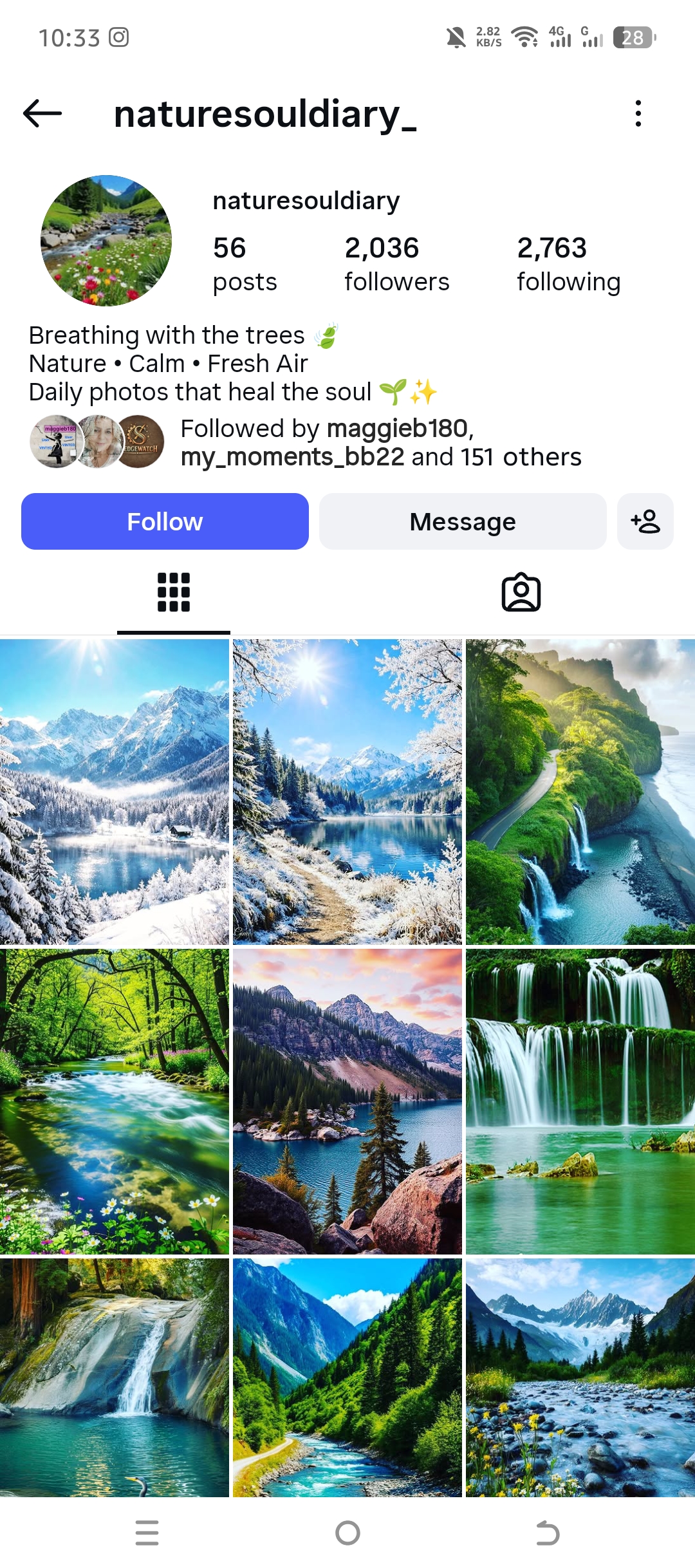 naturesouldiary_