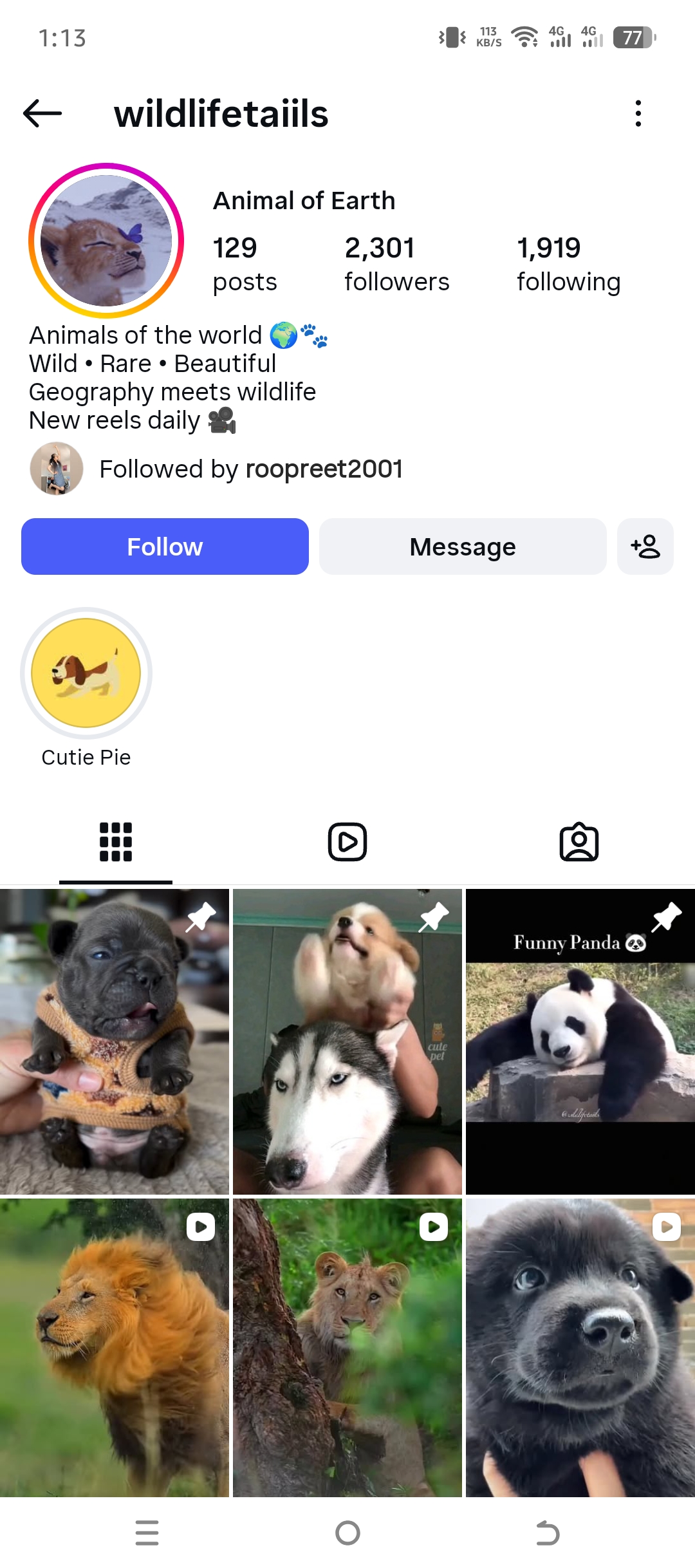 wildlifetaiils