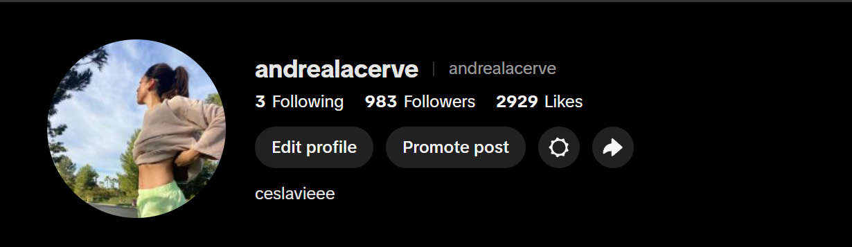 andrealacerve
