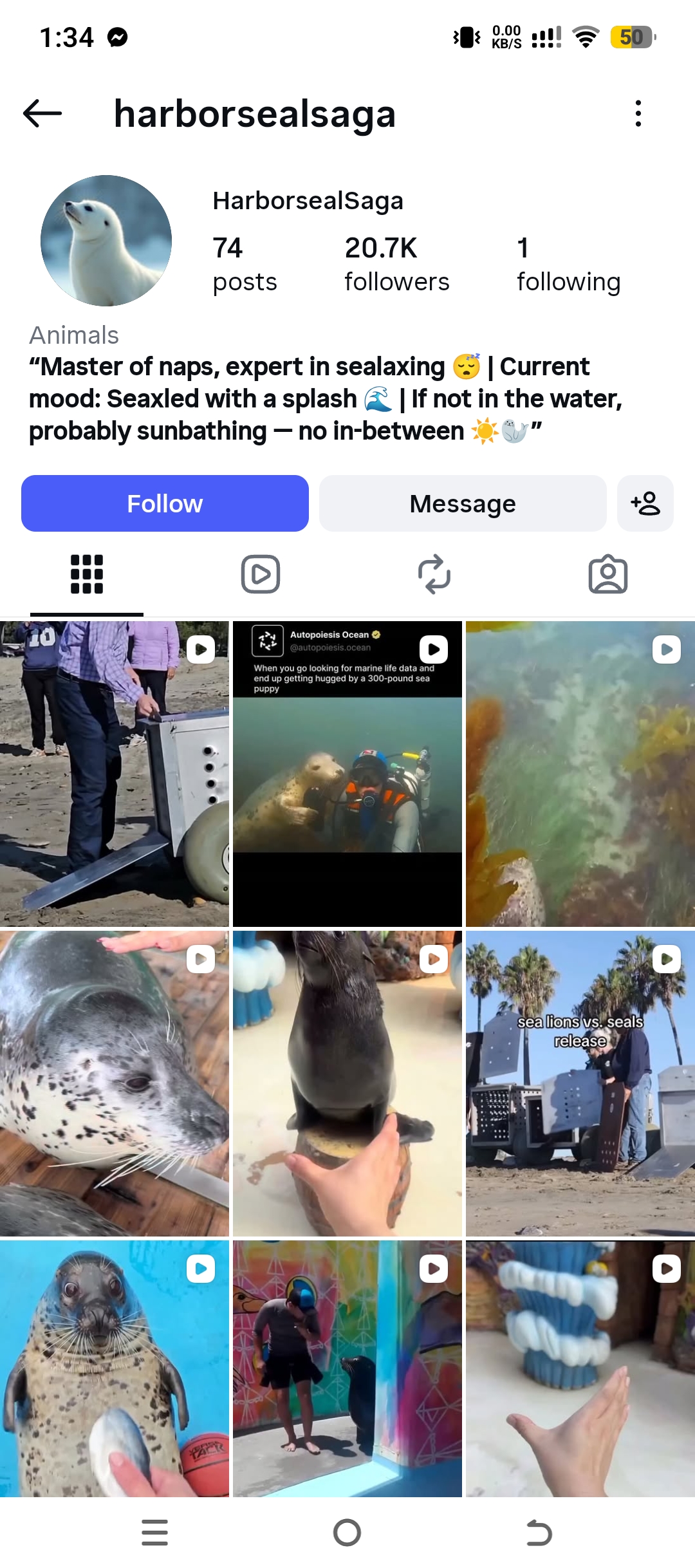 harborsealsaga