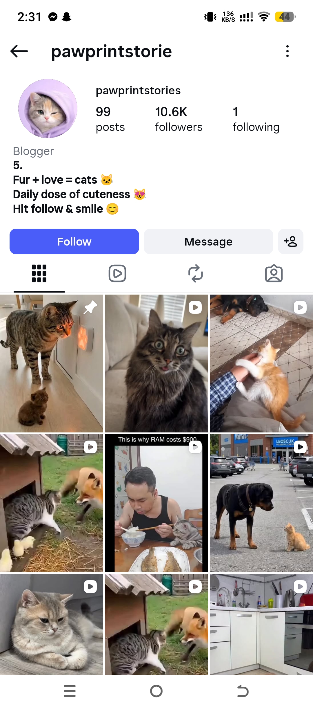 pawprintstorie