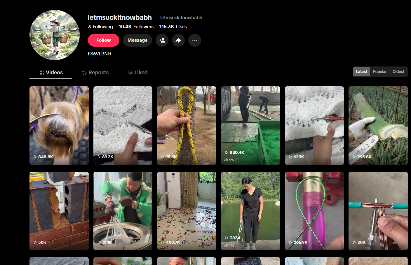 Monitized Tiktok account