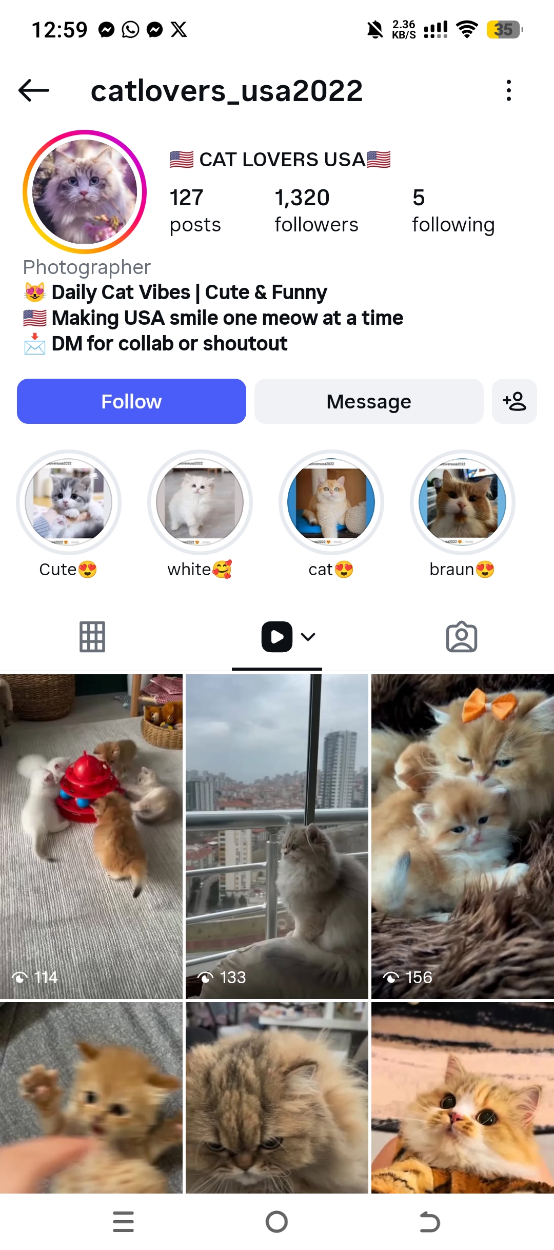 catlovers_usa2022