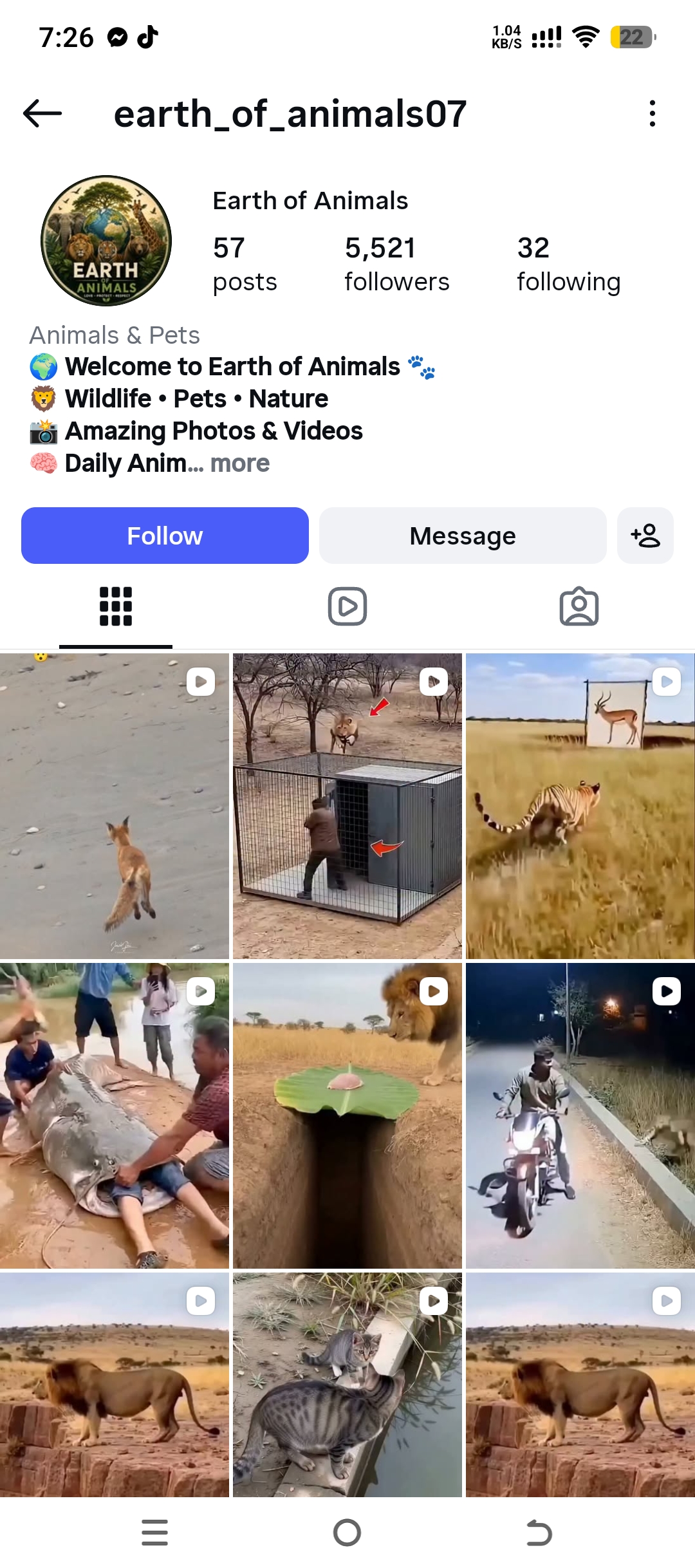 earth_of_animals07