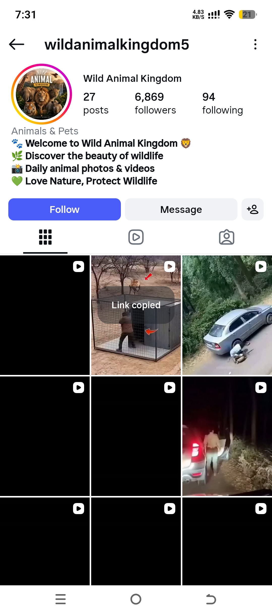 wildanimalkingdom5