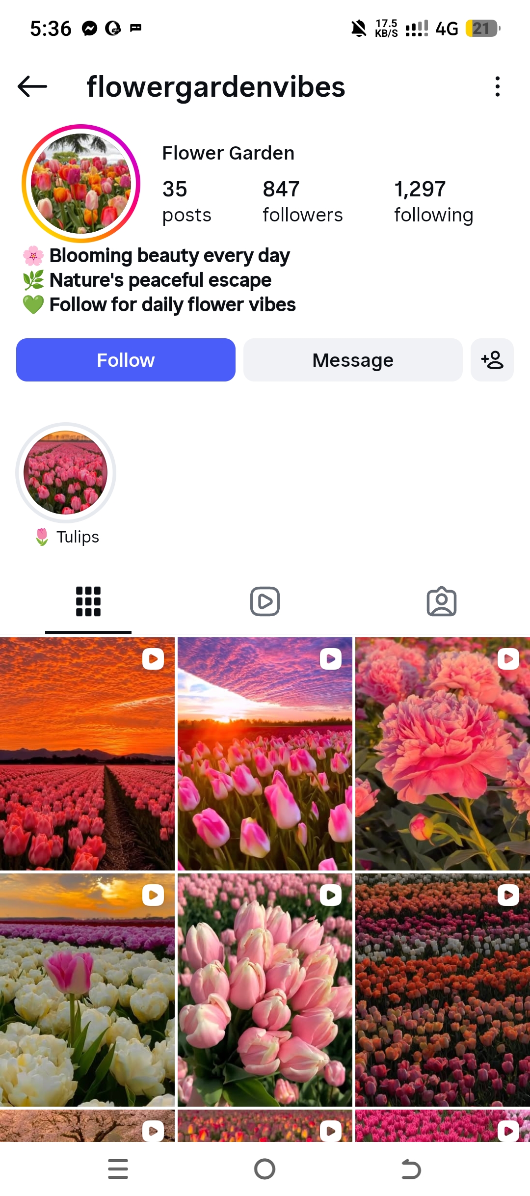 flowergardenvibes