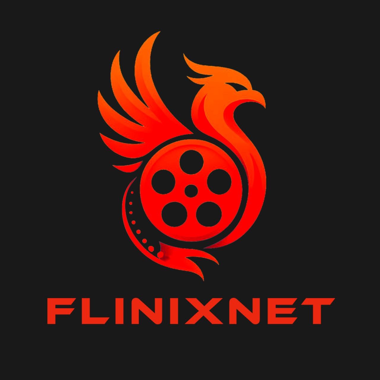 F L I N I X N E T 
