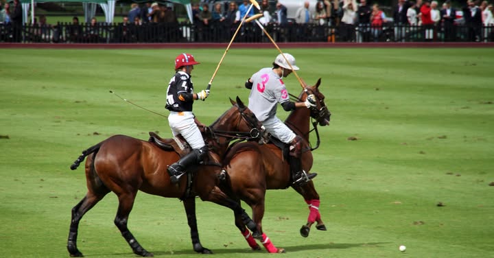 Sport Polo Facebook Group