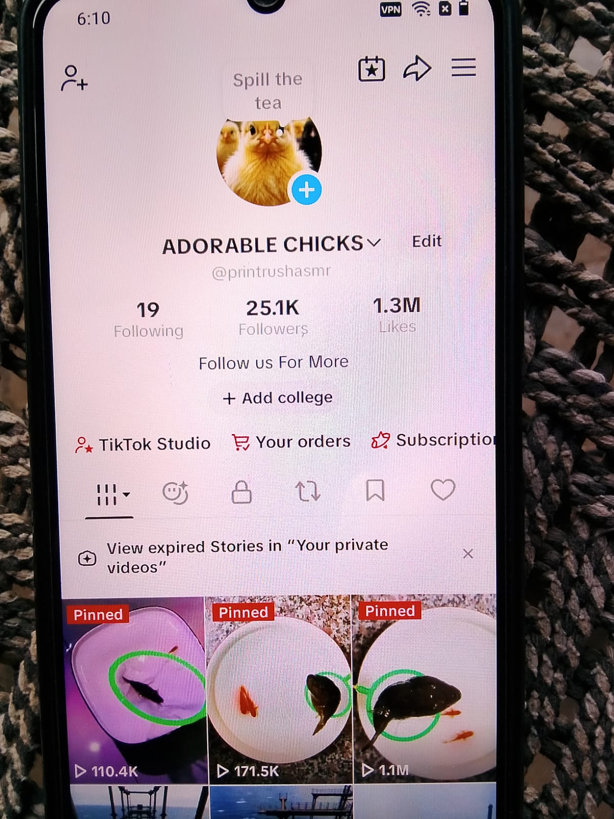 Adorable chicks