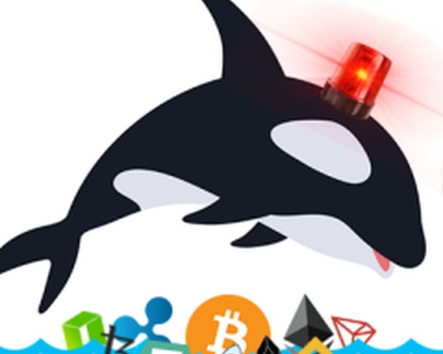 Whale Alert