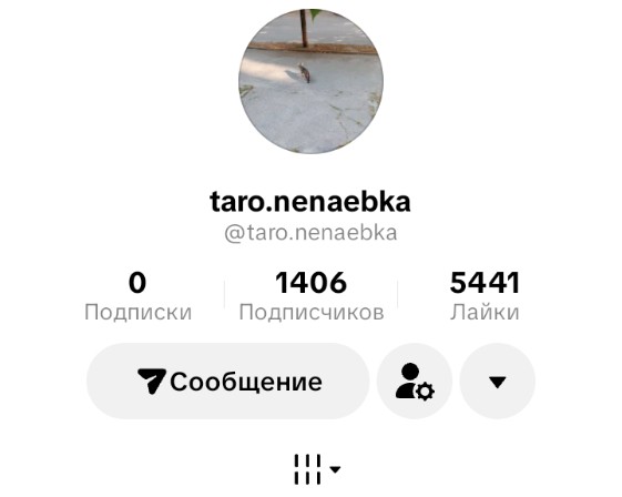 taro.nenaebka