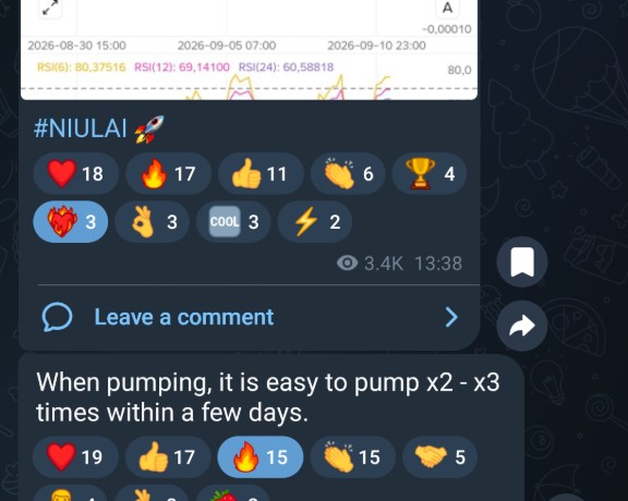 Bull Runner