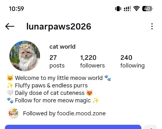 lunarpaws2026