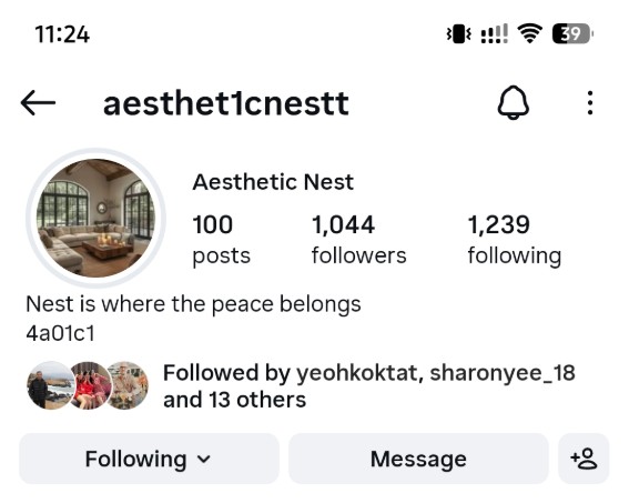 aesthet1cnestt