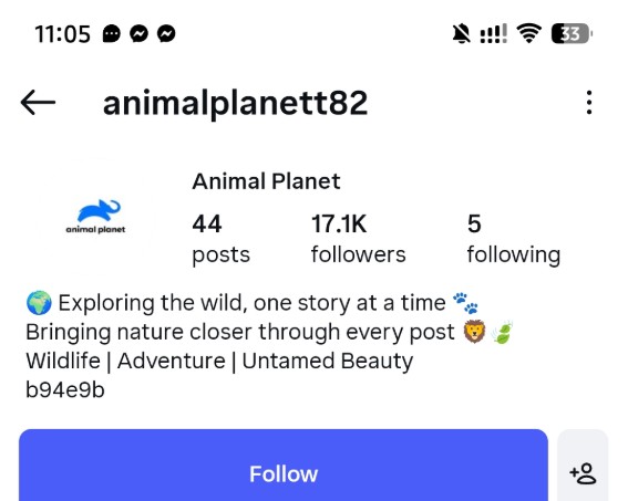 animalplanett82