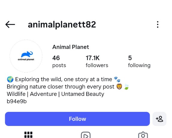 animalplanett82