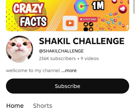 YouTube channel