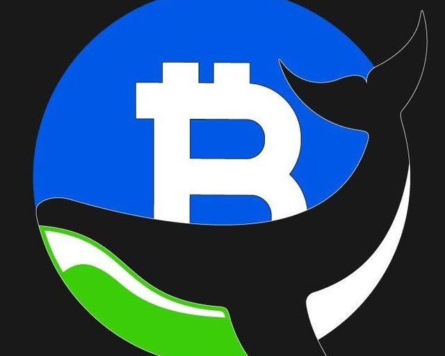 Crypto Guru News