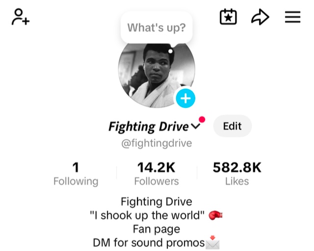 Fighting Drive